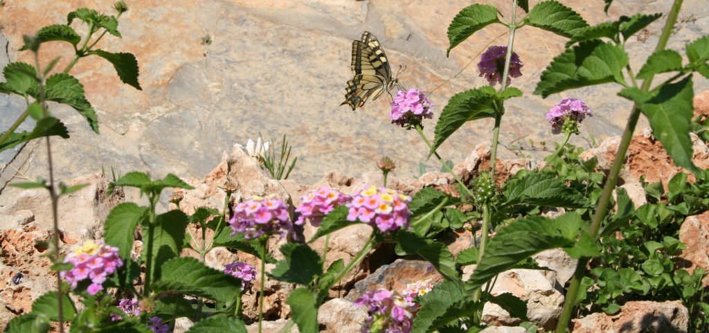 I Didn’t Get a Chance to Say&nbsp;Goodbye